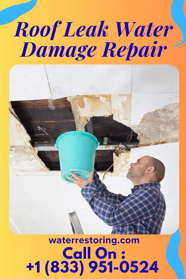 Roof Leak Water Damage Repair in Atlanta, IN