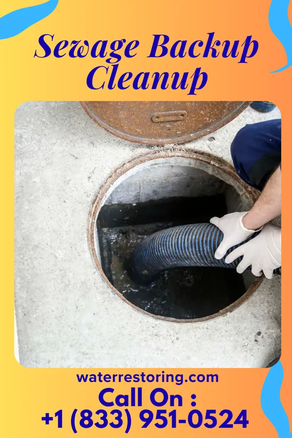 Sewage Backup Cleanup in Atlanta, IN