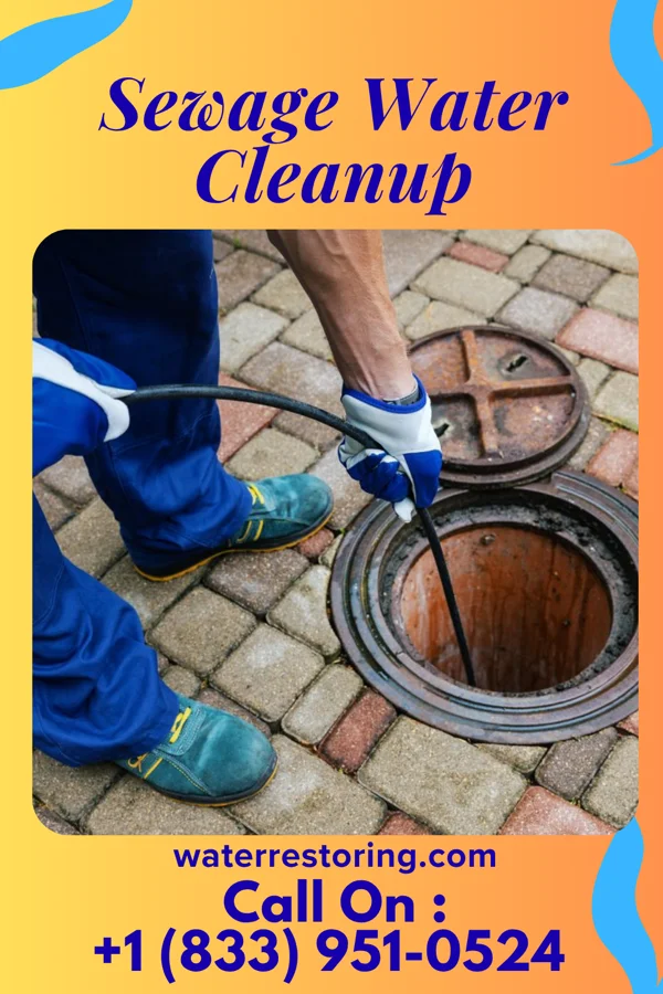 Sewage Water Cleanup in Atlanta, IN